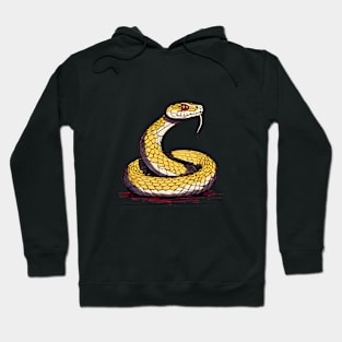 Aesthetic Python Hoodie